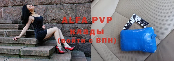 гидра Каменка