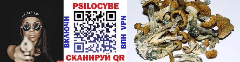 Галлюциногенные грибы Psilocybine cubensis  Уржум 